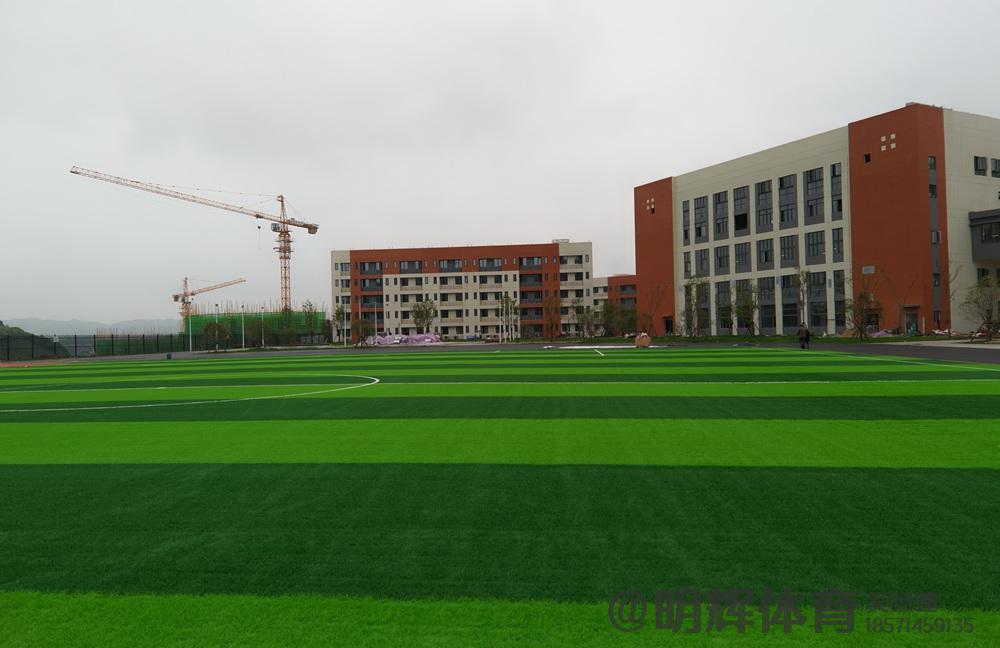 成都人造草坪足球场